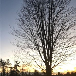 Meet your Posher, Bailey